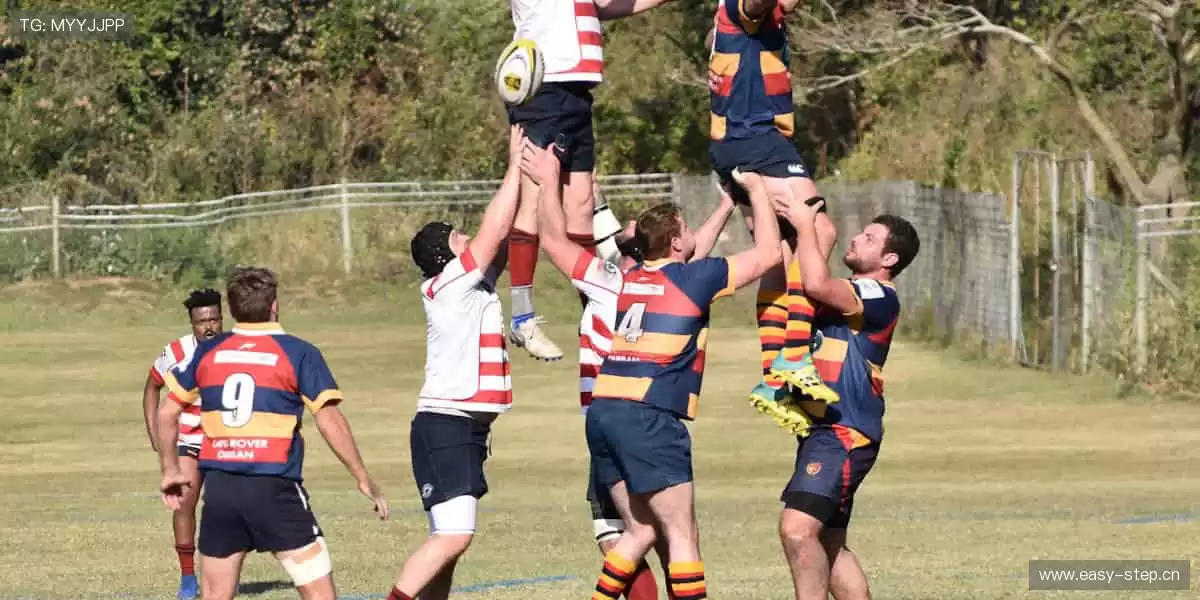 💻指尖滑动，实时掌控赛场风云！📡